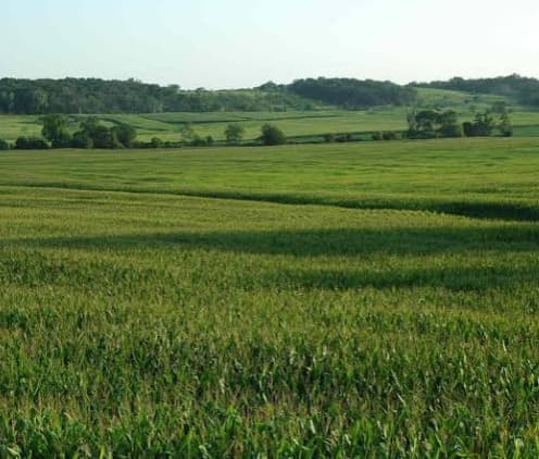 Nigerian farm landscape